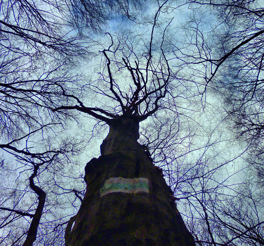 20130309_fhdr