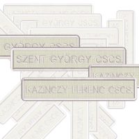 Csapatnév